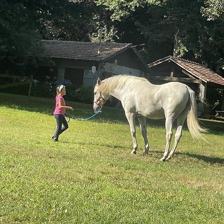 フェルゲイラス Quinta De Maderneヴィラ エクステリア 写真