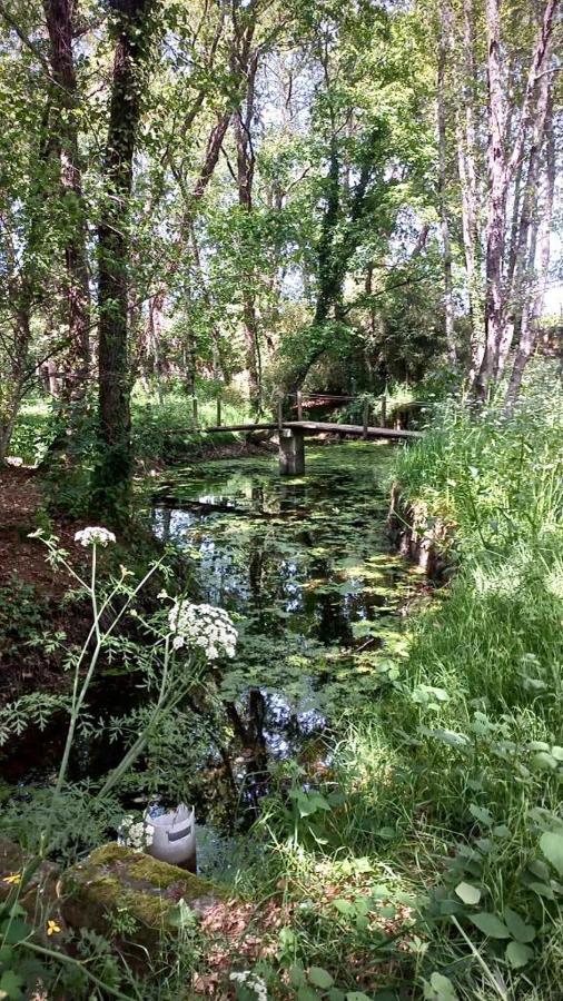 フェルゲイラス Quinta De Maderneヴィラ エクステリア 写真