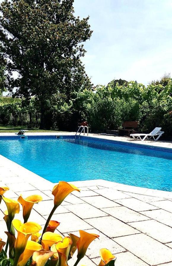 フェルゲイラス Quinta De Maderneヴィラ エクステリア 写真