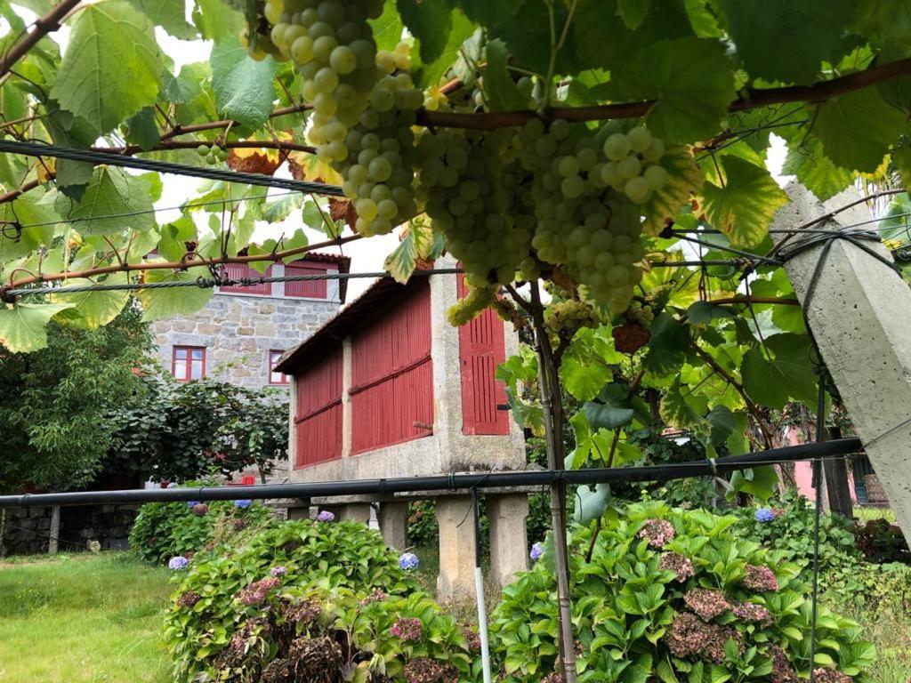 フェルゲイラス Quinta De Maderneヴィラ エクステリア 写真