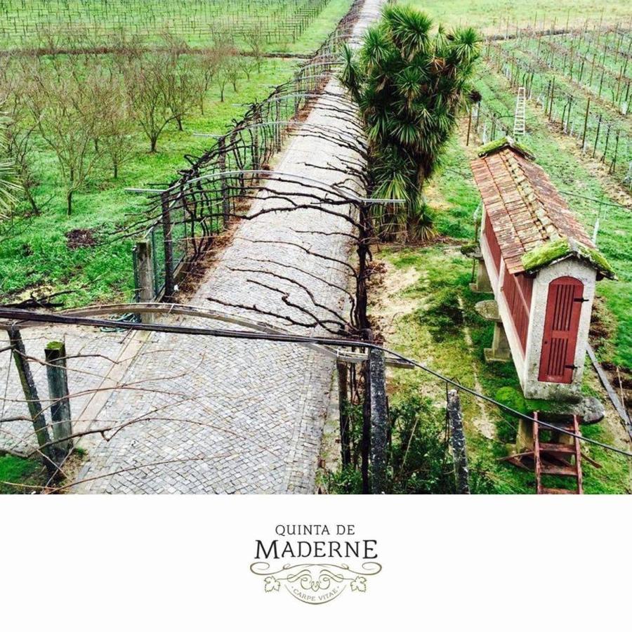 フェルゲイラス Quinta De Maderneヴィラ エクステリア 写真
