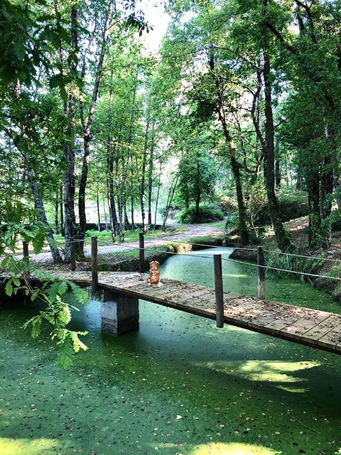 フェルゲイラス Quinta De Maderneヴィラ エクステリア 写真