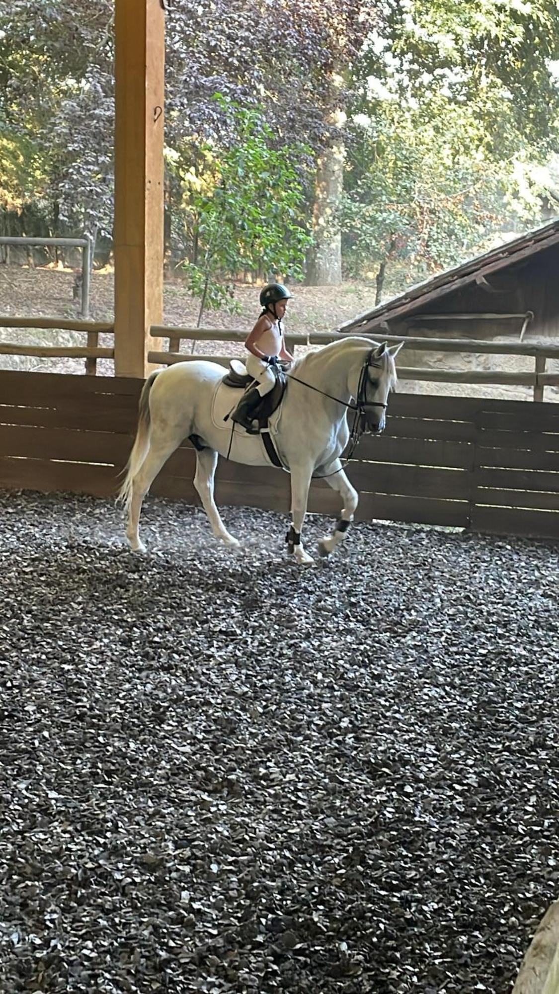 フェルゲイラス Quinta De Maderneヴィラ エクステリア 写真