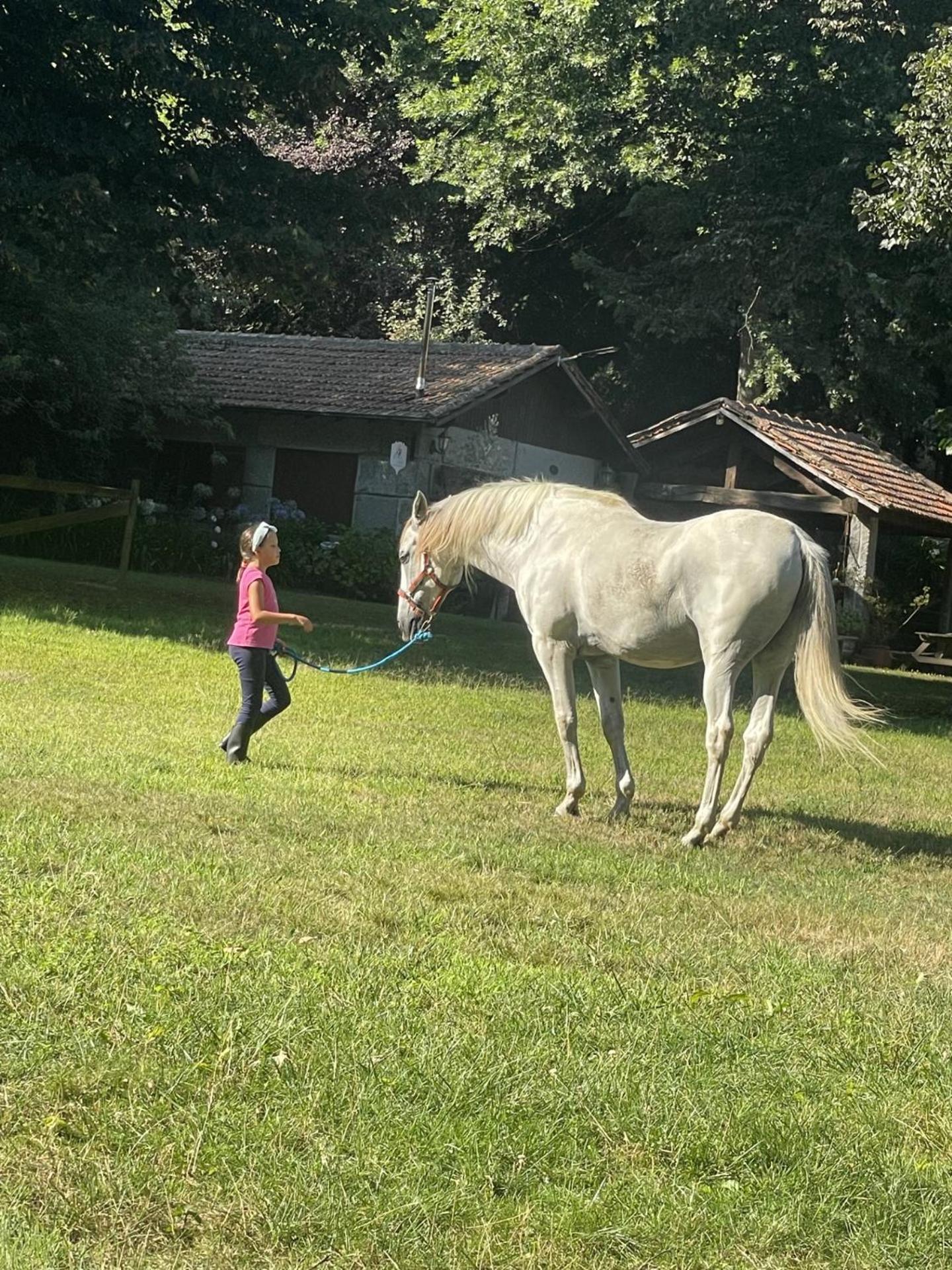 フェルゲイラス Quinta De Maderneヴィラ エクステリア 写真